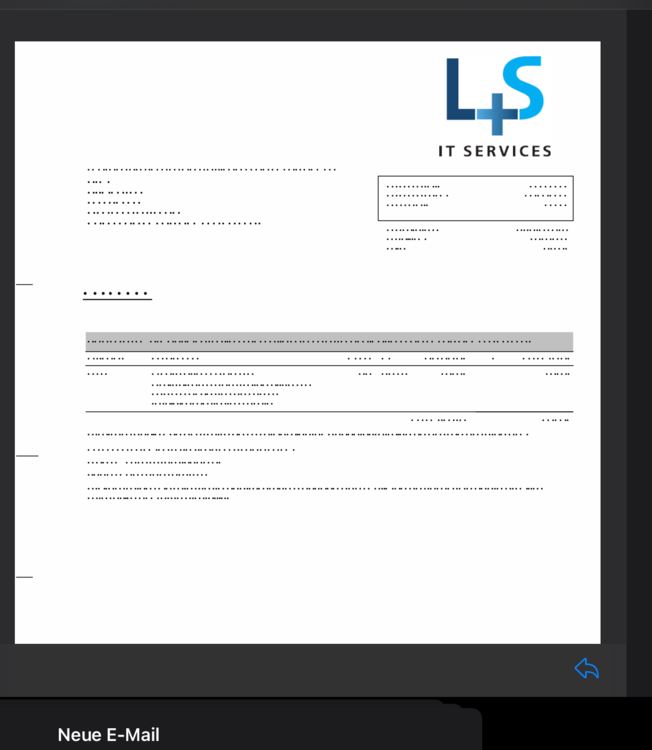 L+S IT Services Rechnung.png